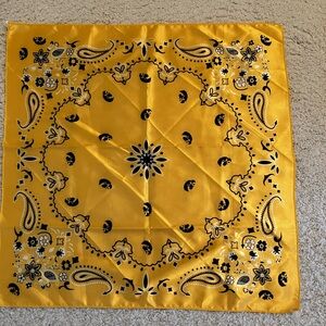 Iowa Hawkeye gold and black ladies scarf.  Never worn!  I think it’s silk